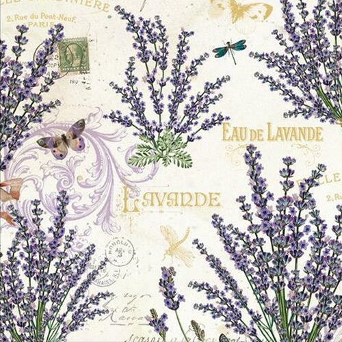 San Lorenzo Lavanda Card -  Portfolio (10ct.)