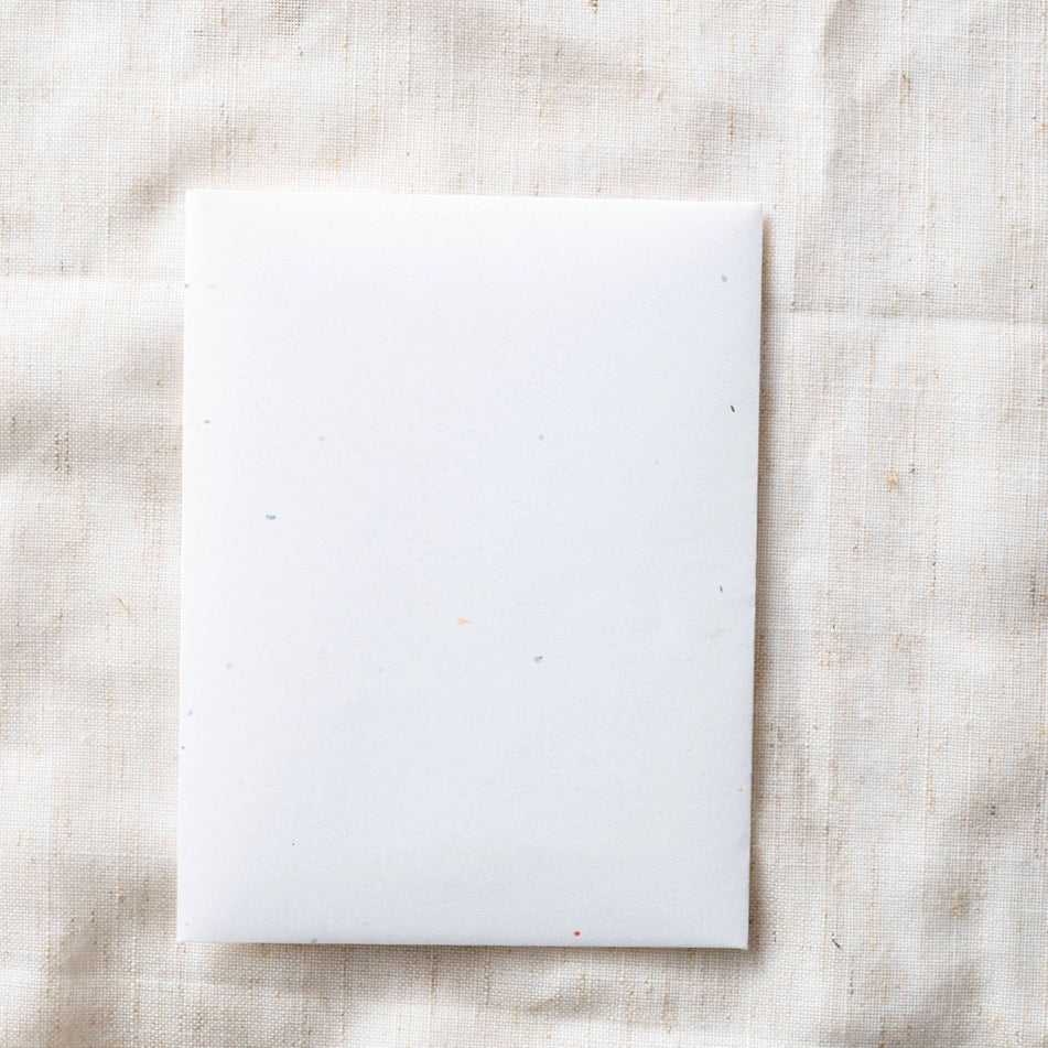 Paper Baristas Merry Christmas Berries Christmas Greeting Card Box Set