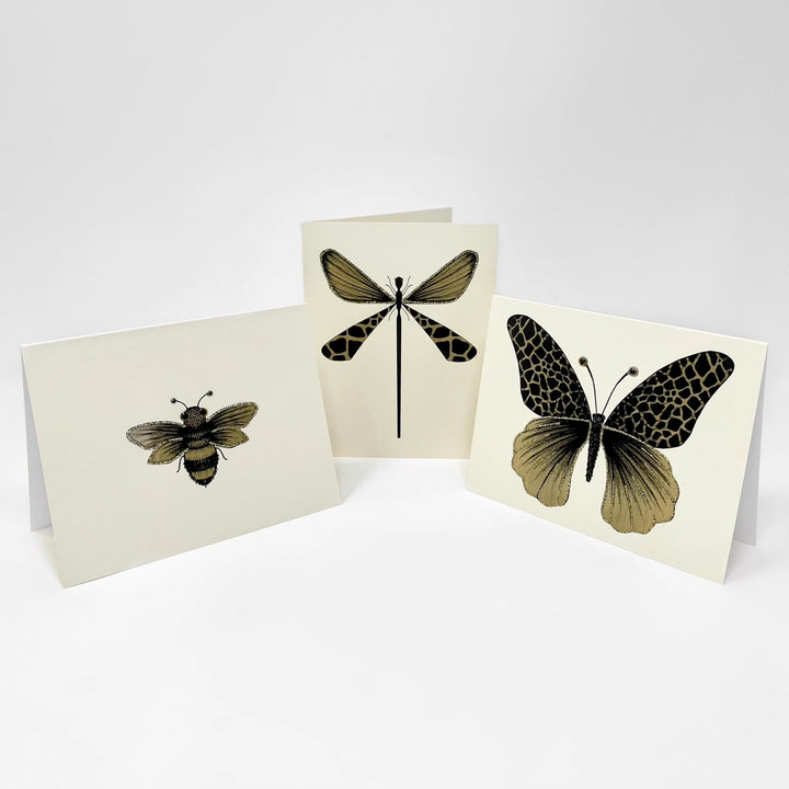 S.E.Hagarman Boxed Notecard - Beautiful Bugs