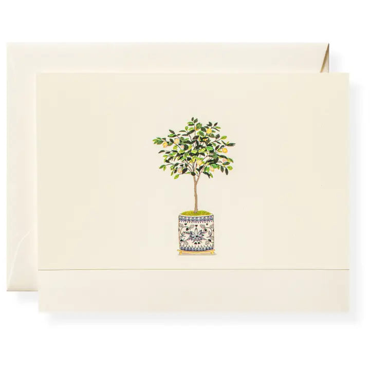 Karen Adams - Dolce Vita Note Card Box (5.5" x 4.25")