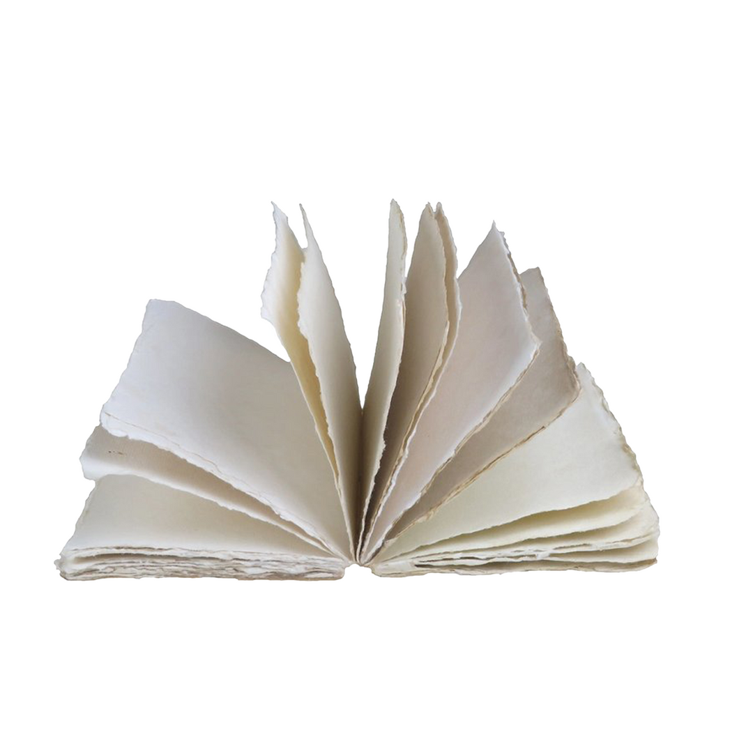 Epigram A5 Butterfly Beetle Curiosity - Notebook
