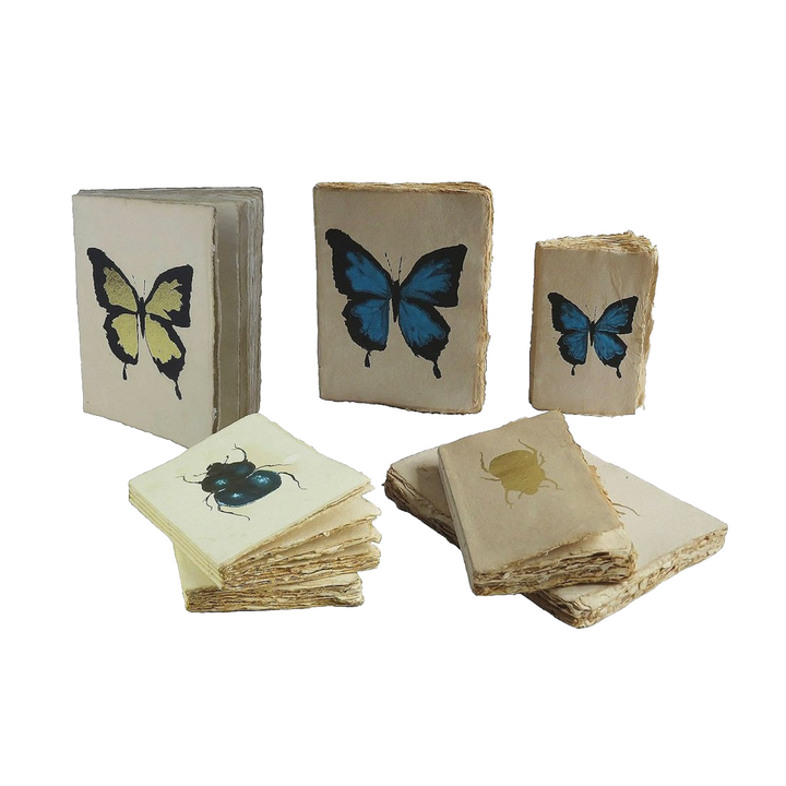 Epigram A5 Butterfly Beetle Curiosity - Notebook