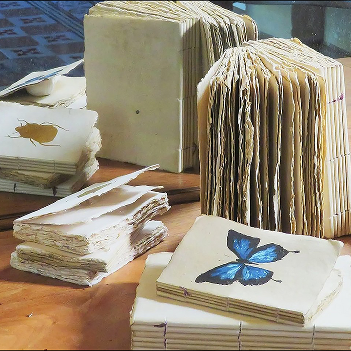 Epigram A5 Butterfly Beetle Curiosity - Notebook