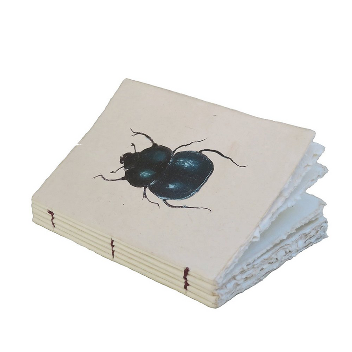 Epigram A5 Butterfly Beetle Curiosity - Notebook