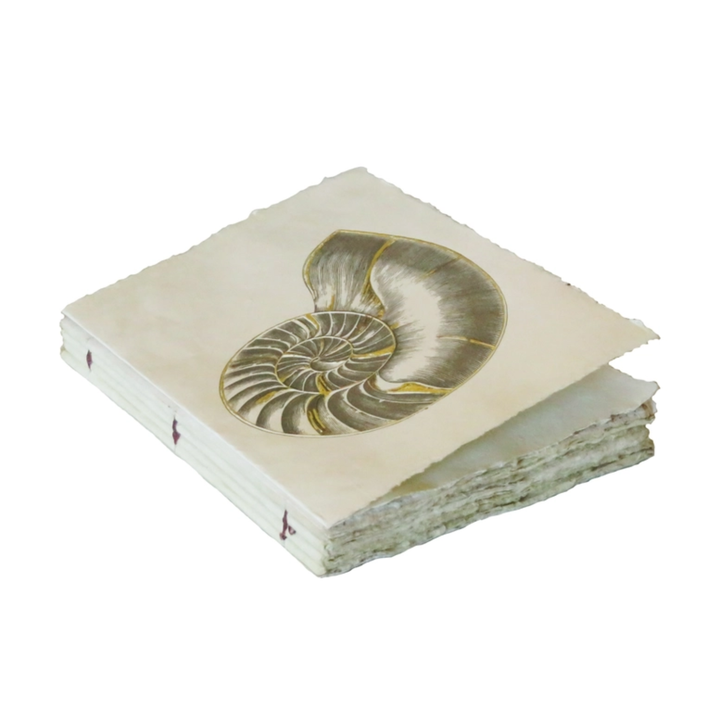 Epigram A5 Nautile Shell Engraving - Notebook