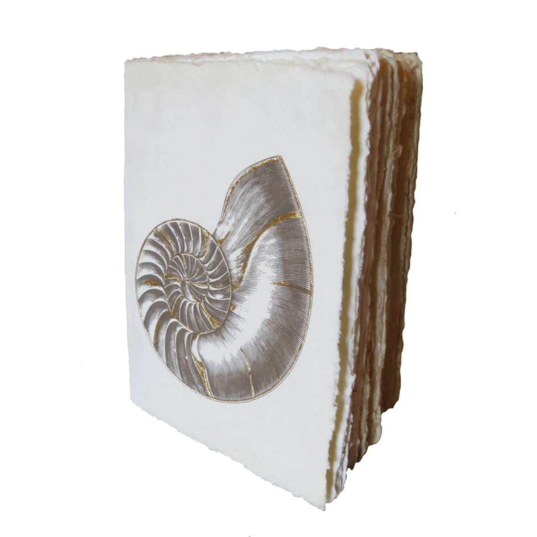 Epigram A5 Nautile Shell Engraving - Notebook