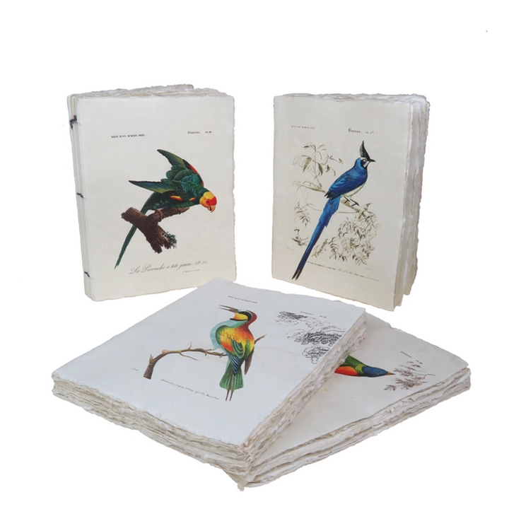 Epigram A5 Tropical Bird - Notebook