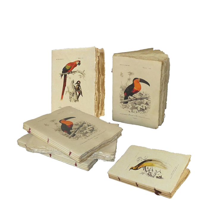 Epigram A5 Vintage Bird Notebook