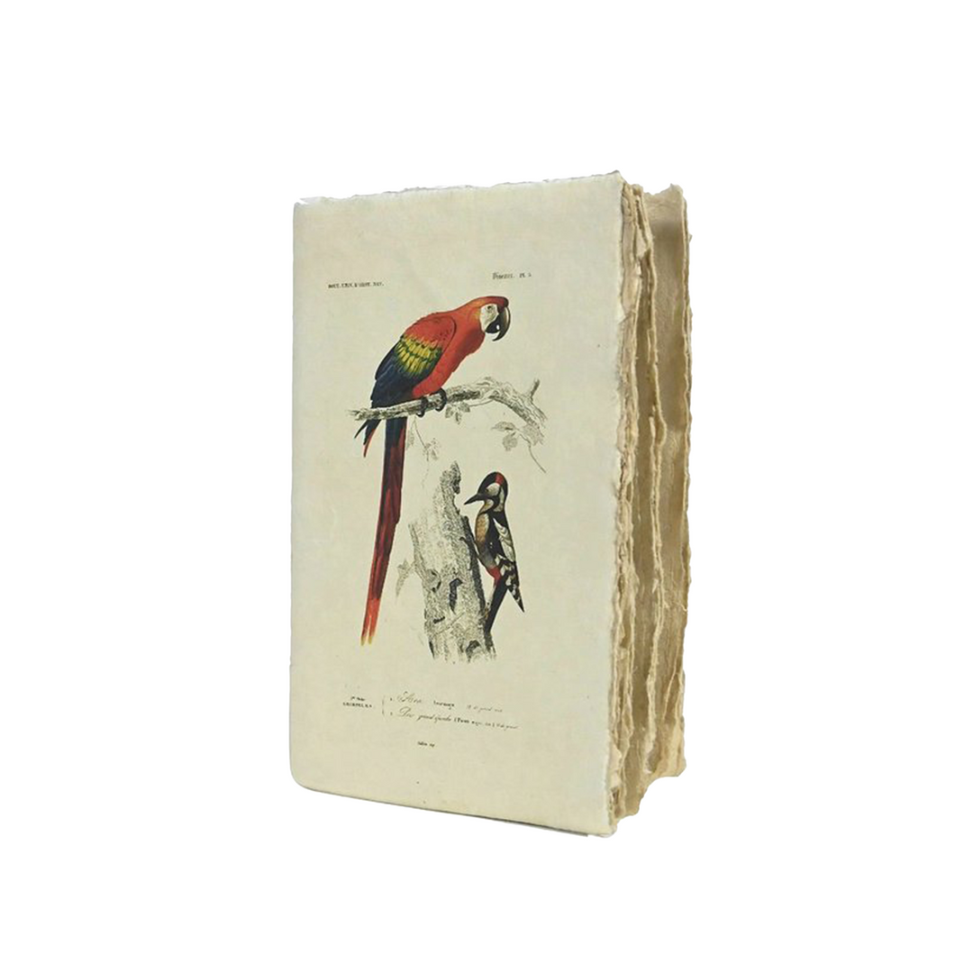 Epigram A5 Vintage Bird Notebook