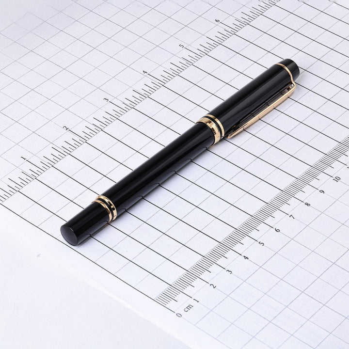 Waterman Le Man 200 Fountain Pen