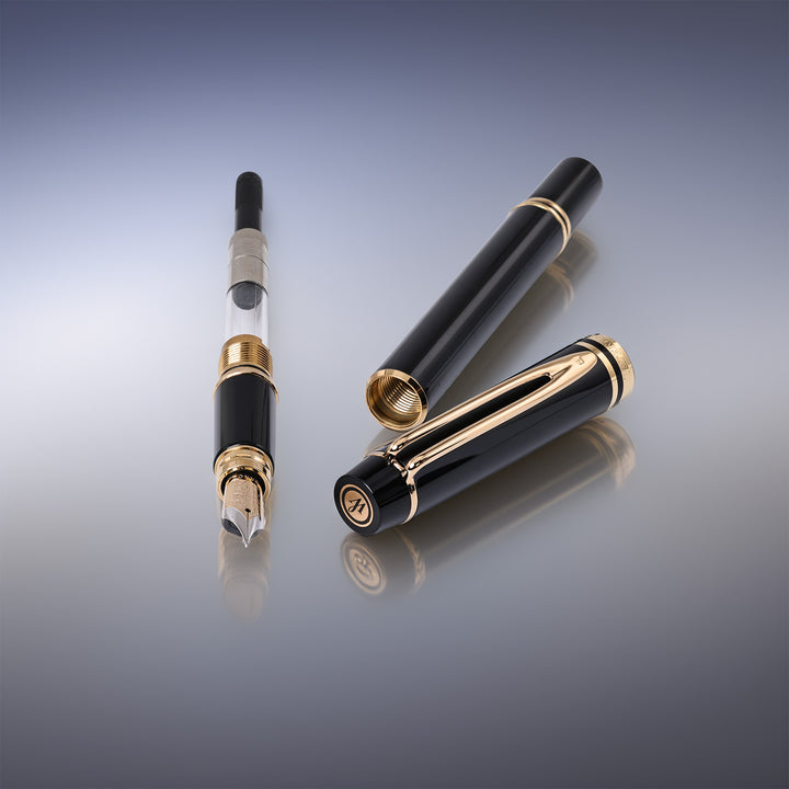 Waterman Le Man 200 Fountain Pen