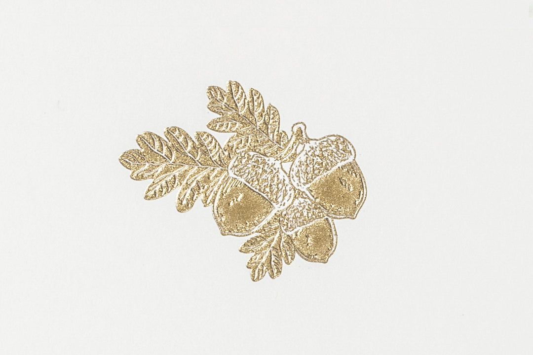 Grosvenor Cards & Envelopes - Acorns (10ct.)