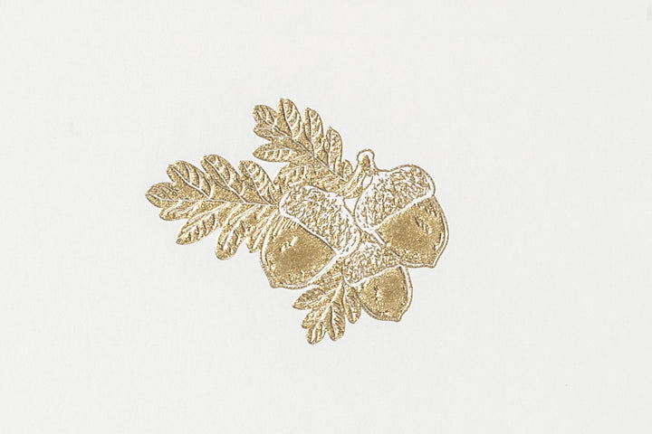 Grosvenor Cards & Envelopes - Acorns (10ct.)