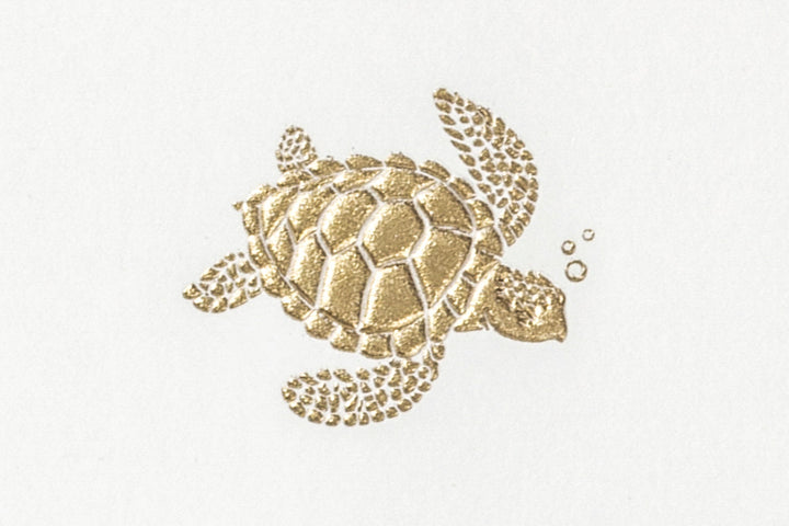 Grosvenor Cards & Envelopes - Bubbles the Turtle (10ct.)