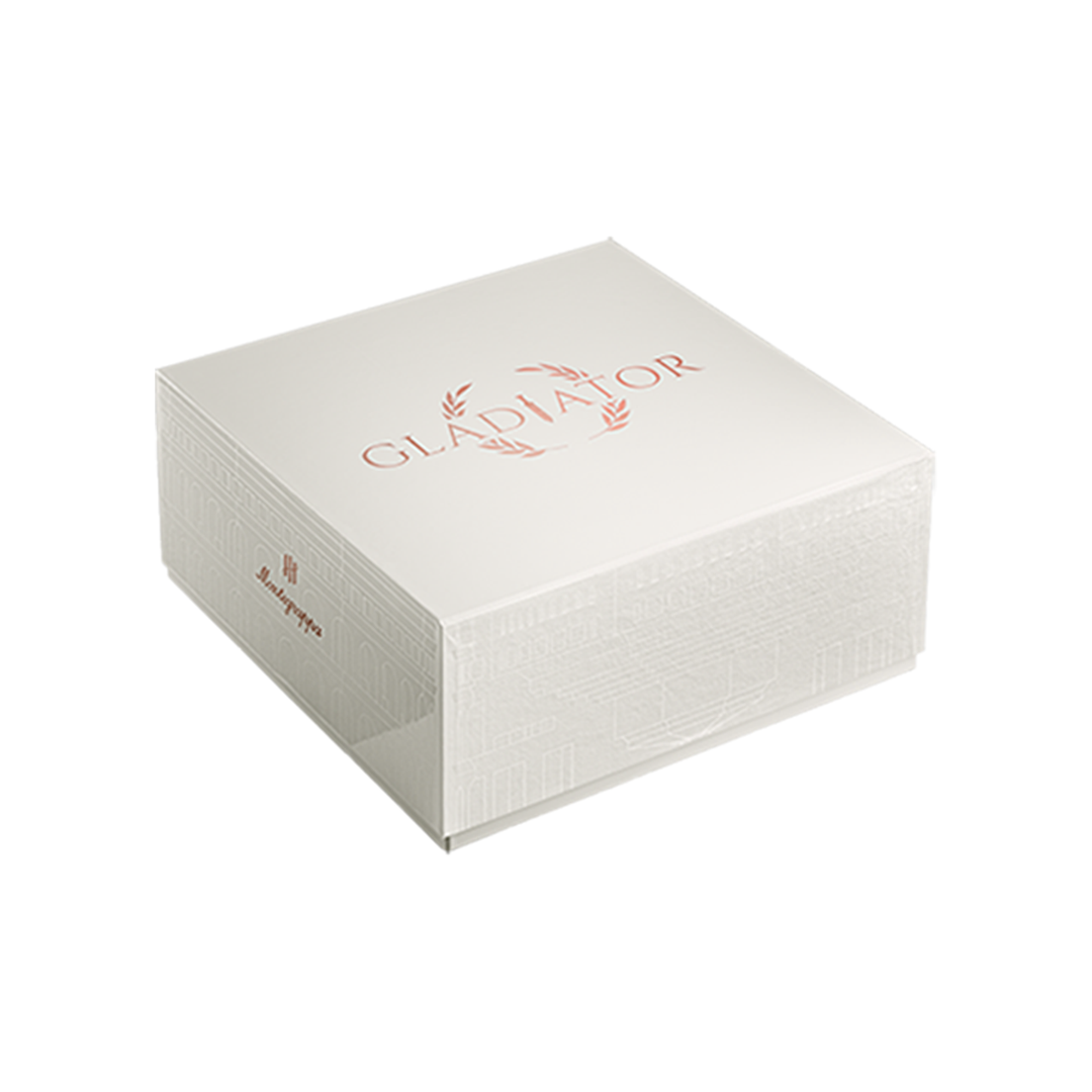 Montegrappa Gladiator Fountain Pen in Sterling Silver