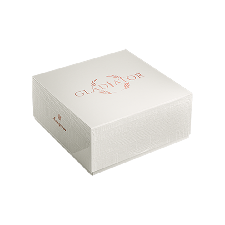 Montegrappa Gladiator Fountain Pen in Sterling Silver