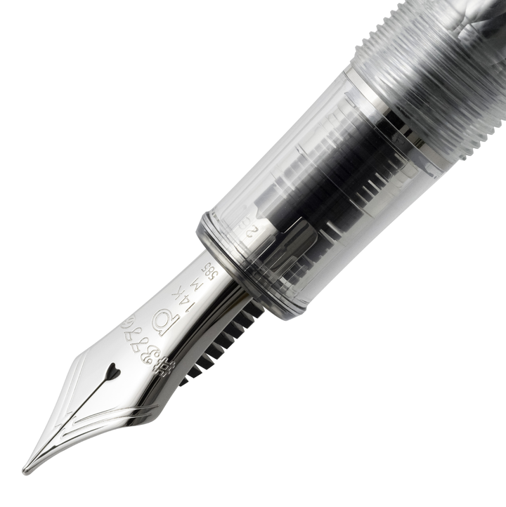 Platinum #3776 Century Fountain Pen - Fuji Series Fuji Unkei "Uroko-Gumo"