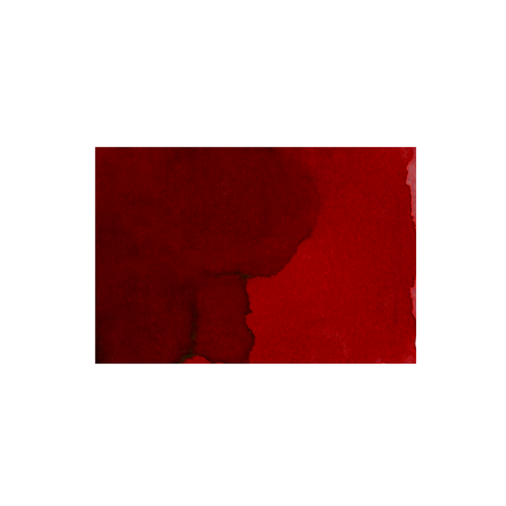 Private Reserve Ink Bottle - Vampire Red 60ml
