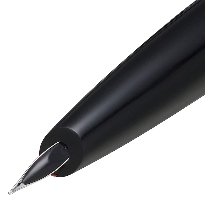 Sheaffer Icon Fountain Pen