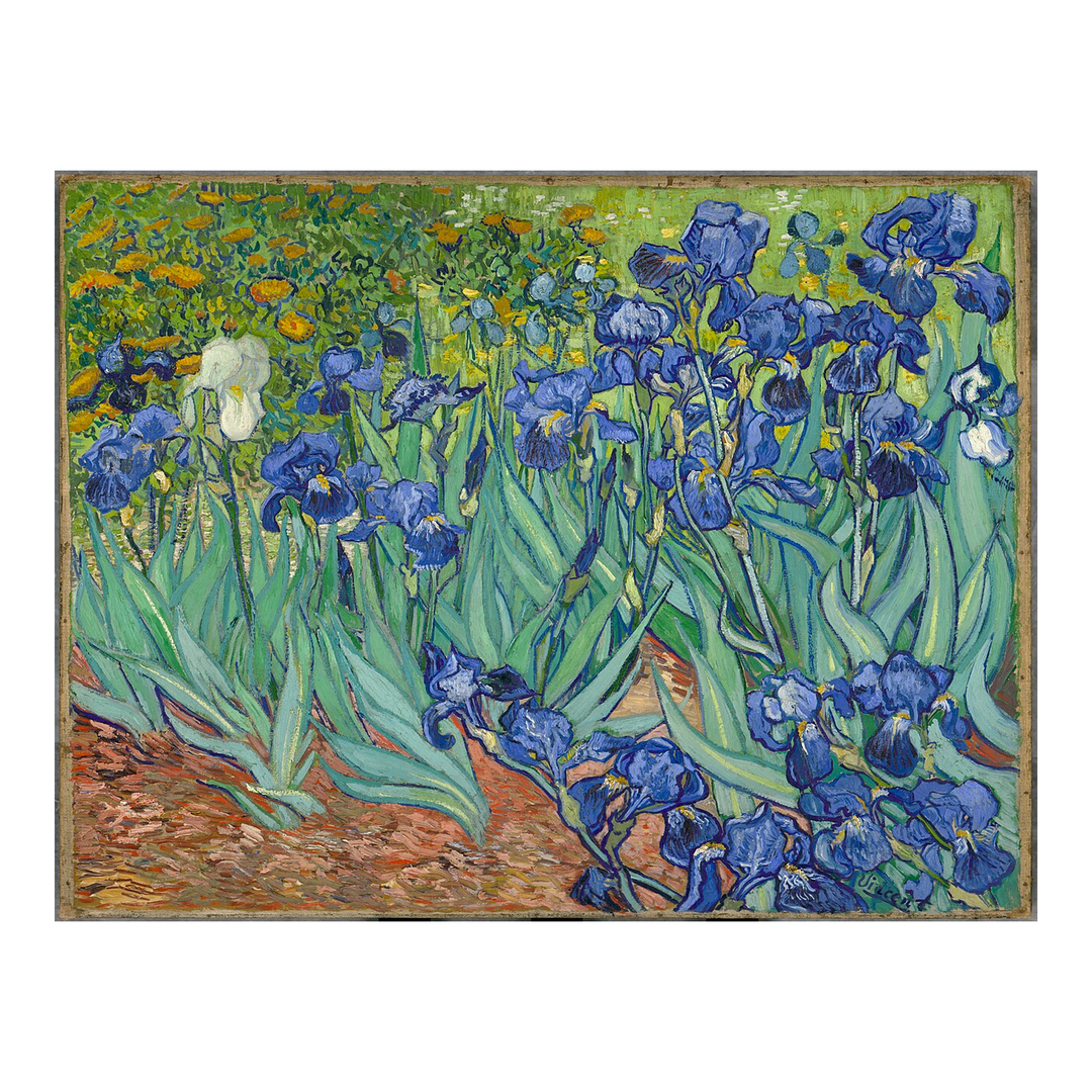 Visconti Van Gogh Iris - Fountain Pen