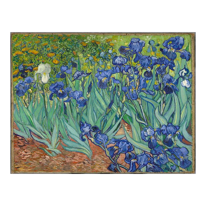 Visconti Van Gogh Iris - Fountain Pen
