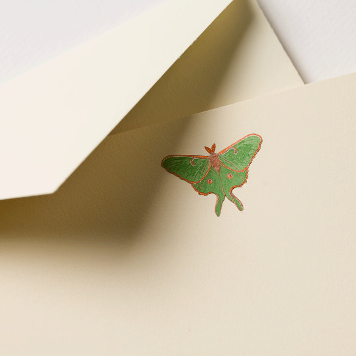 Crane Luna Moth Cards & Envelopes