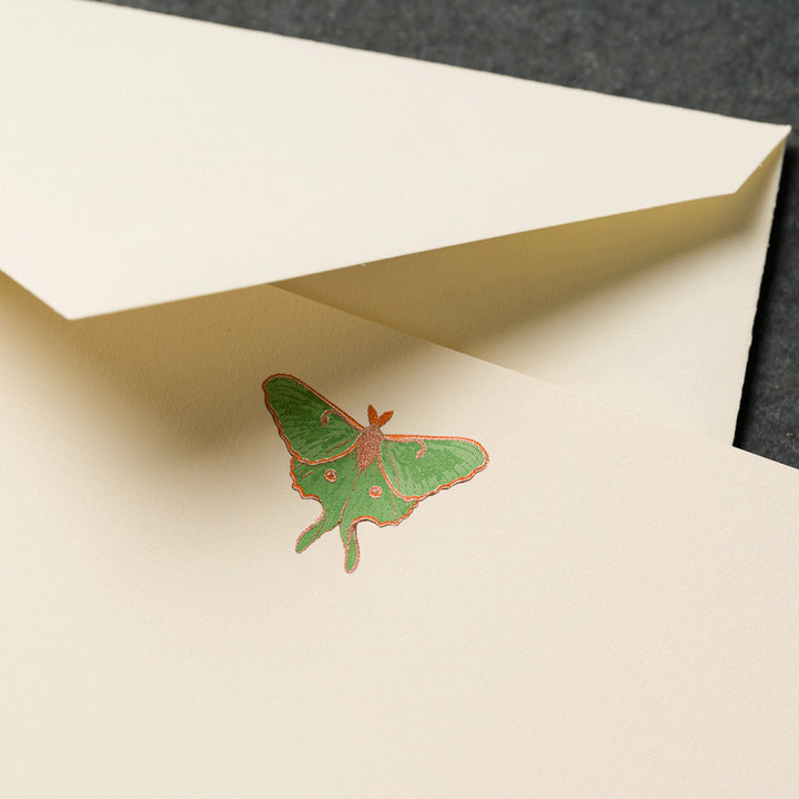 Crane Luna Moth Cards & Envelopes