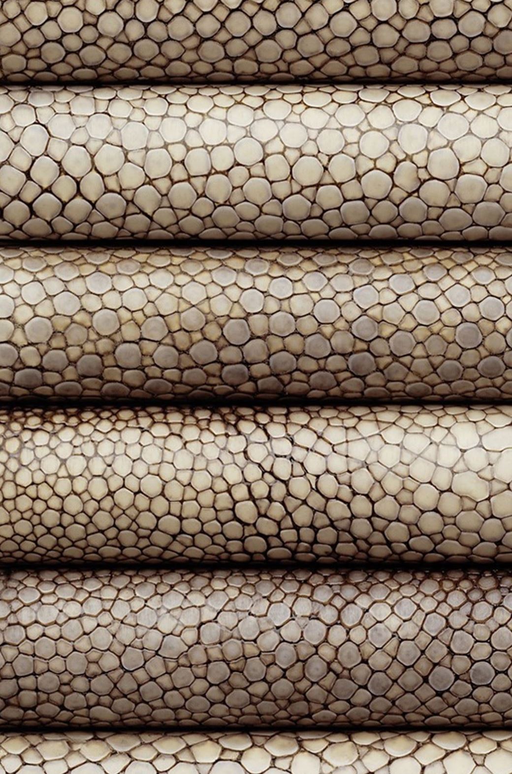 Pen of the Year 2005 - Galuchat - Brown