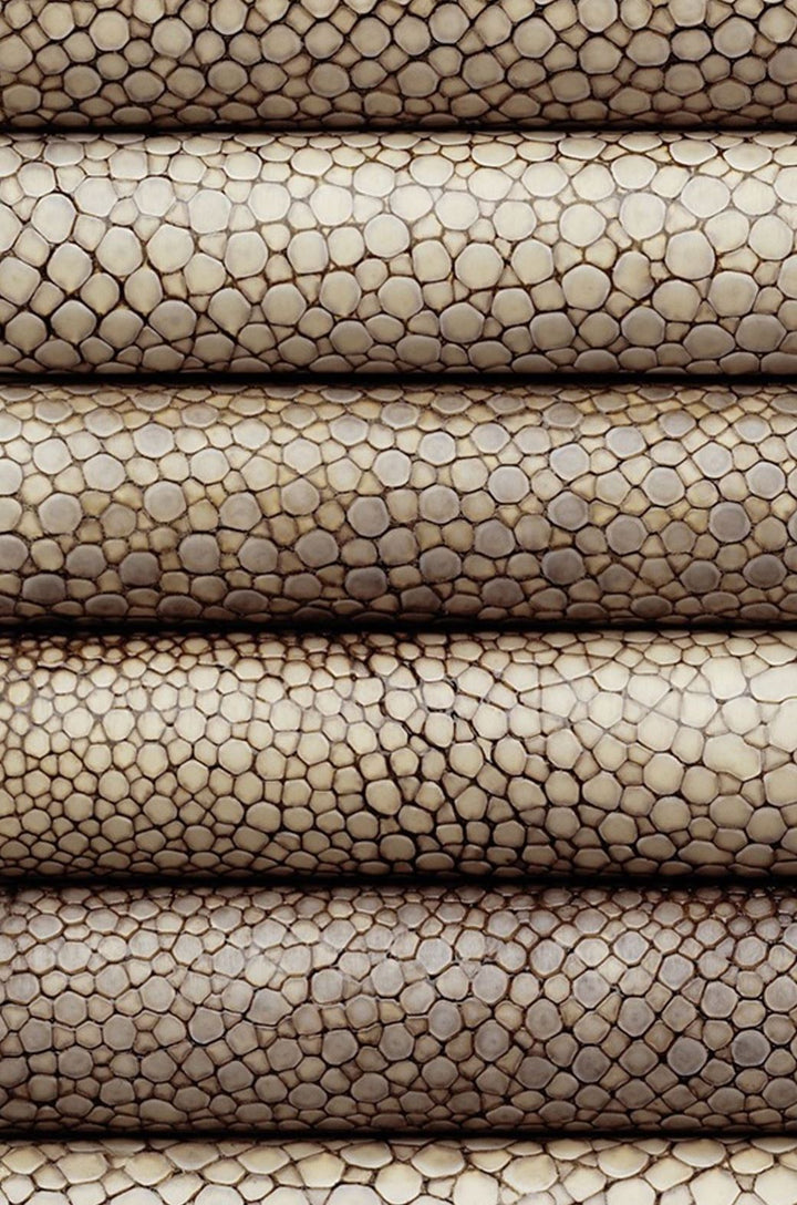 Pen of the Year 2005 - Galuchat - Brown