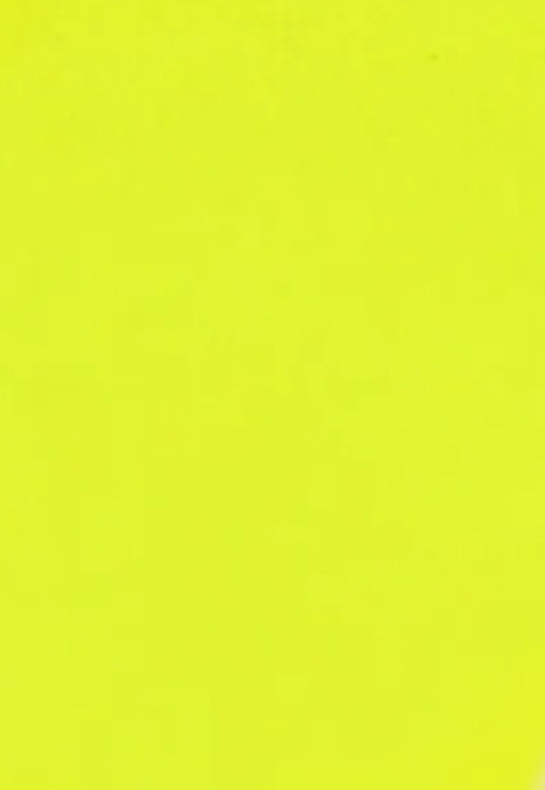Private Reserve Ink Bottle -Neon Yellow 60ml