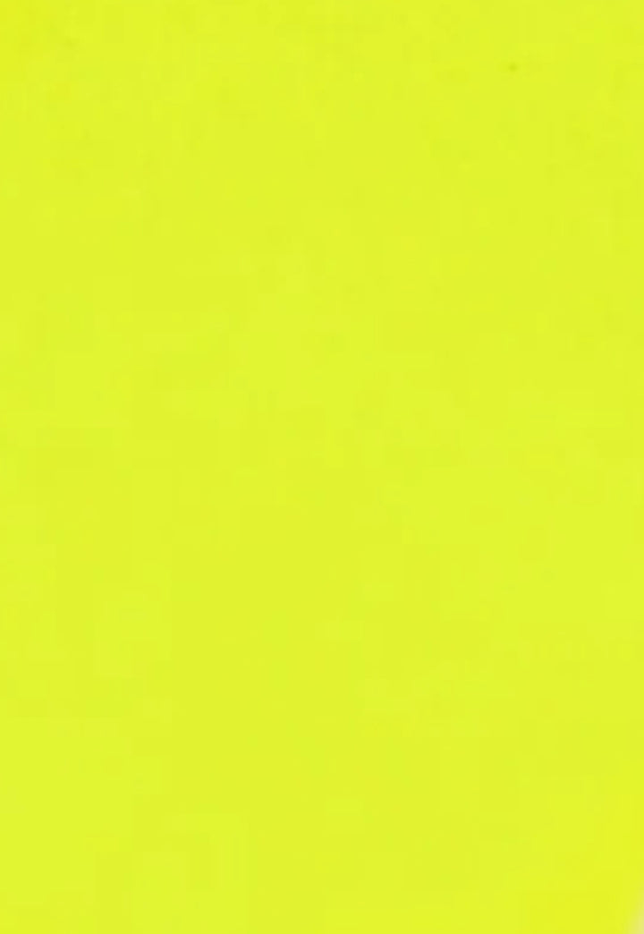 Private Reserve Ink Bottle -Neon Yellow 60ml