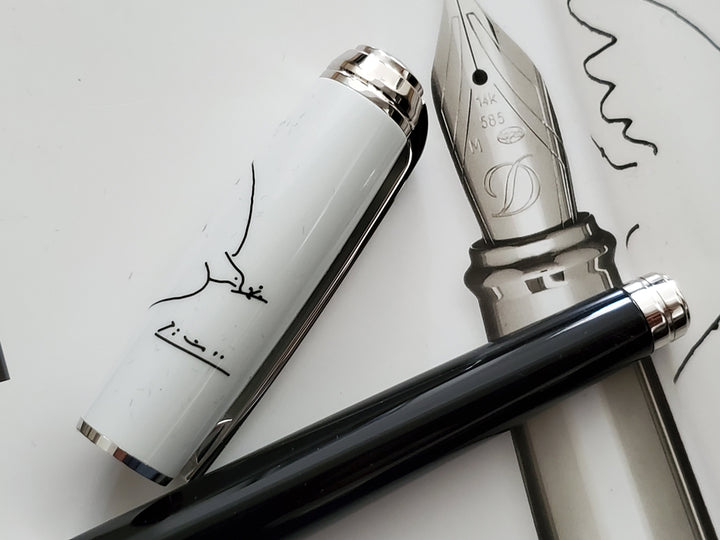 S.T. Dupont Line D Fountain Pen - Picasso Dove