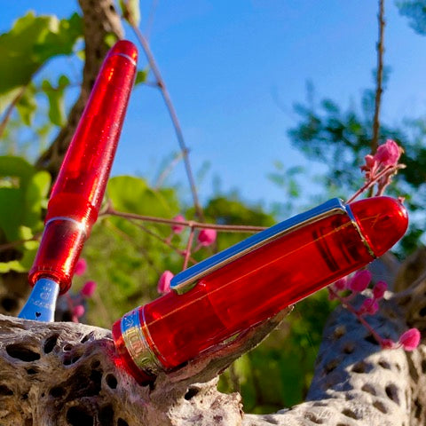 Platinum #3776 Century Fountain Pen - Carnelian