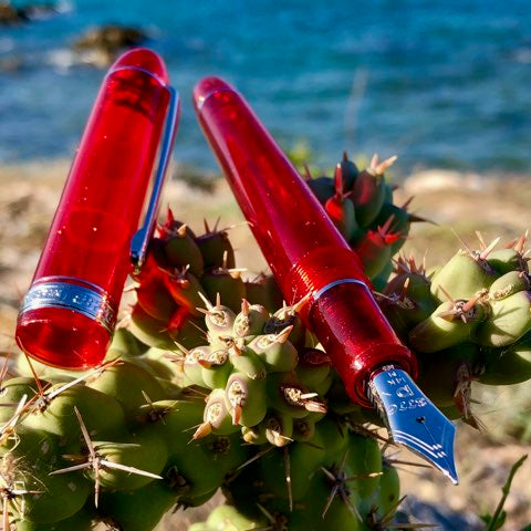 Platinum #3776 Century Fountain Pen - Carnelian