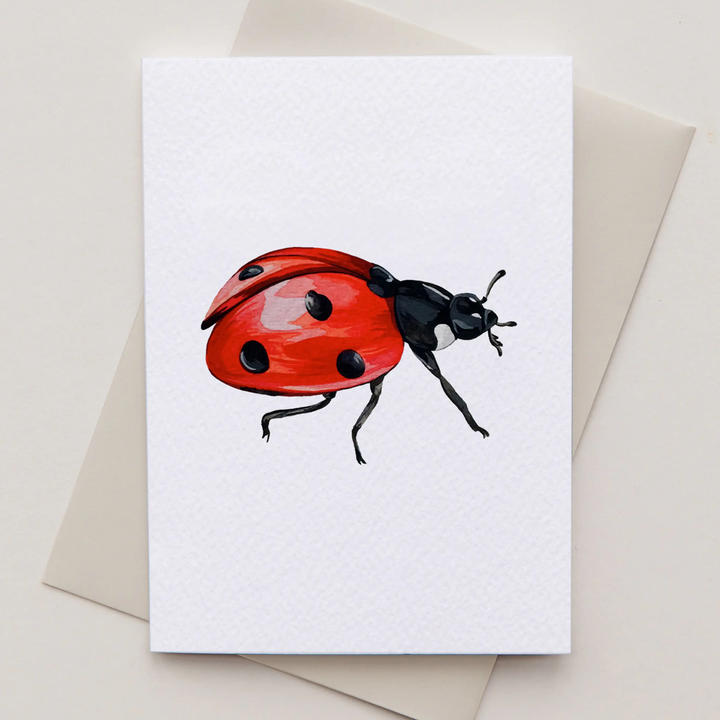 Sophie Brabbins - Mini Greeting Cards Pack (3 designs per pack)