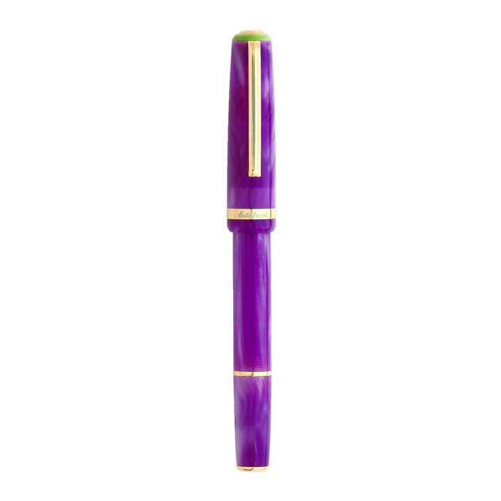 Esterbrook JR Paradise Pocket Fountain Pen - Purple Passion