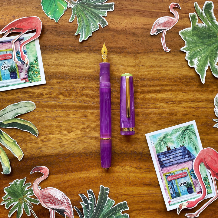 Esterbrook JR Paradise Pocket Fountain Pen - Purple Passion