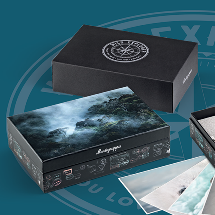 Montegrappa Wild: Arctic LE Fountain Pen