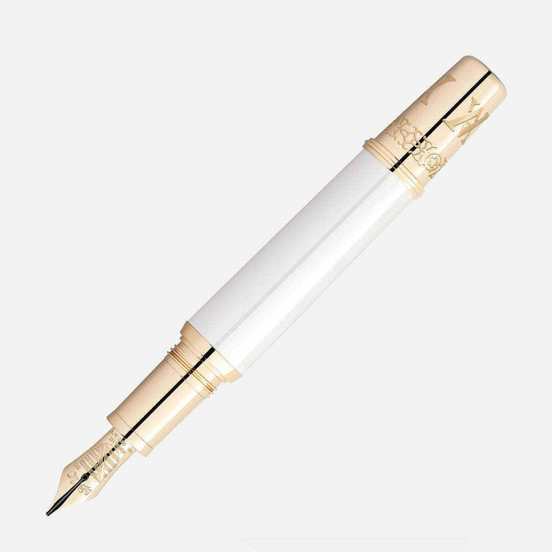 Montblanc Patron of Art Homage to Albert Limited Edition 4810 Fountain Pen