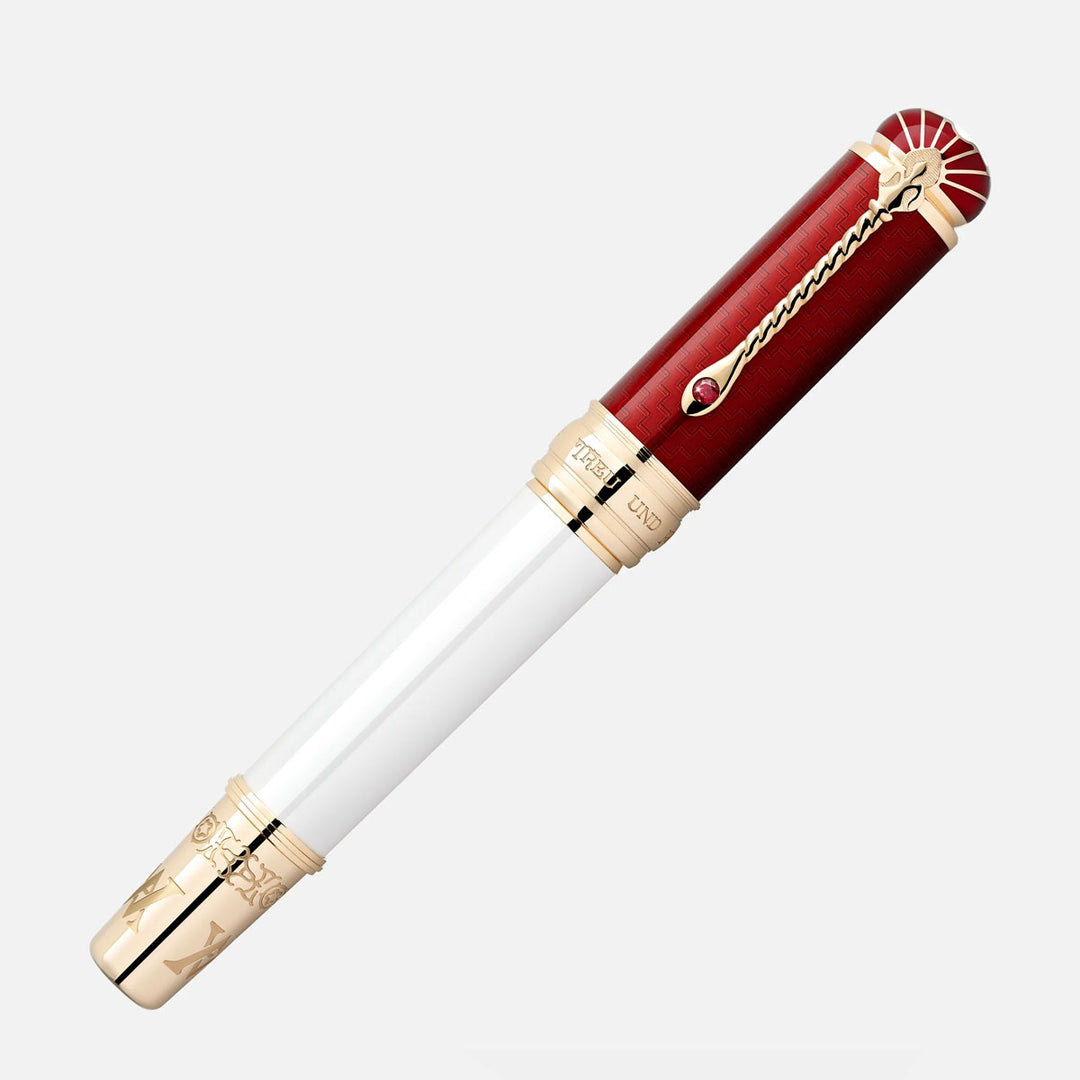 Montblanc Patron of Art Homage to Albert Limited Edition 4810 Fountain Pen