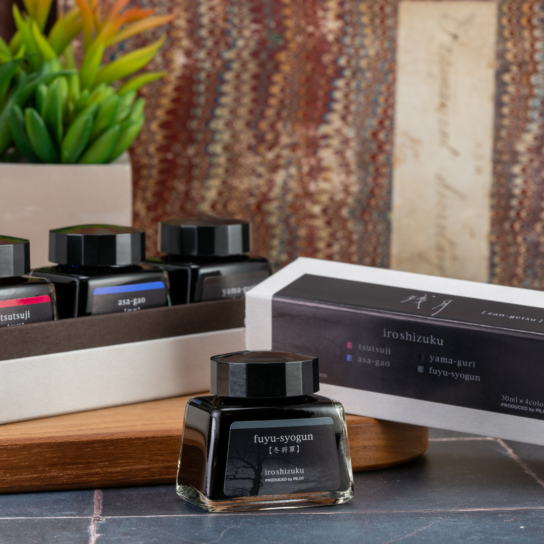 Pilot Iroshizuku Limited Edition Ink Set - Zan-getsu