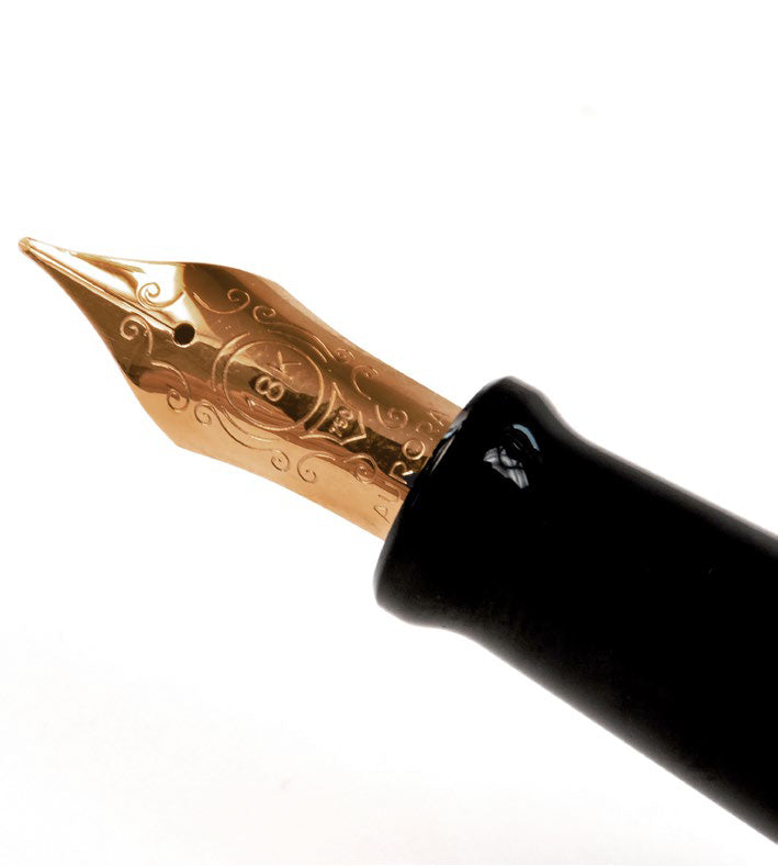 Aurora 888 Fountain Pen - Giove