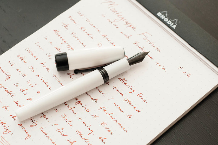 Montegrappa Fortuna Fountain Pen - White And Ruthenium