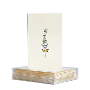 Paula Skene Blue Floral Mini Note Cards & Envelopes