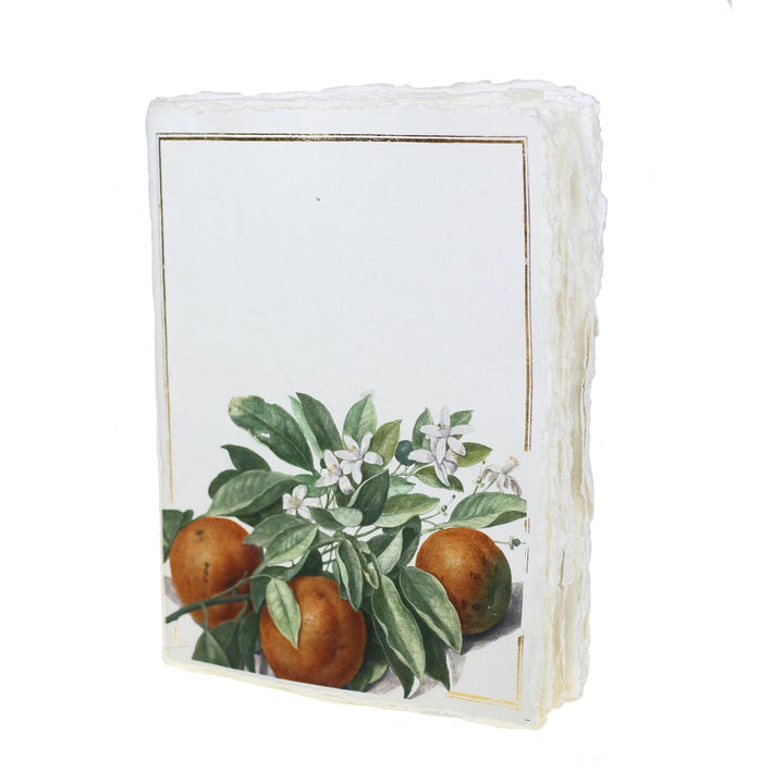 Epigram A6 Oranges - Notebook