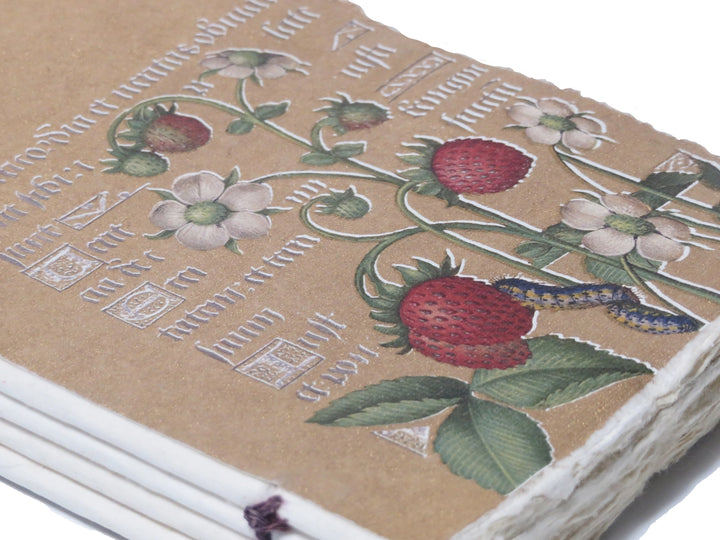 Epigram A5 Strawberries Gold Illumination - Notebook