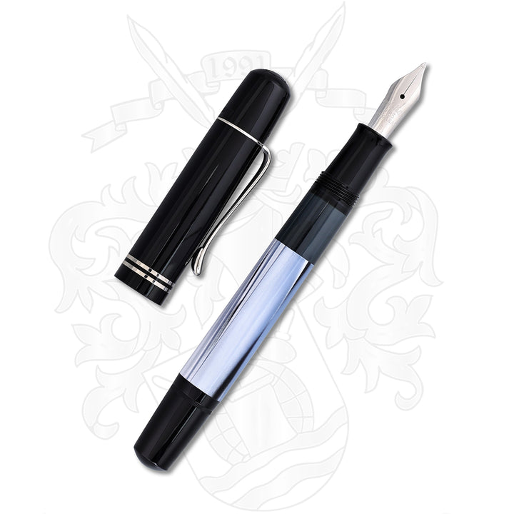 Pelikan M101 Blue Grey Marble Fountain Pen