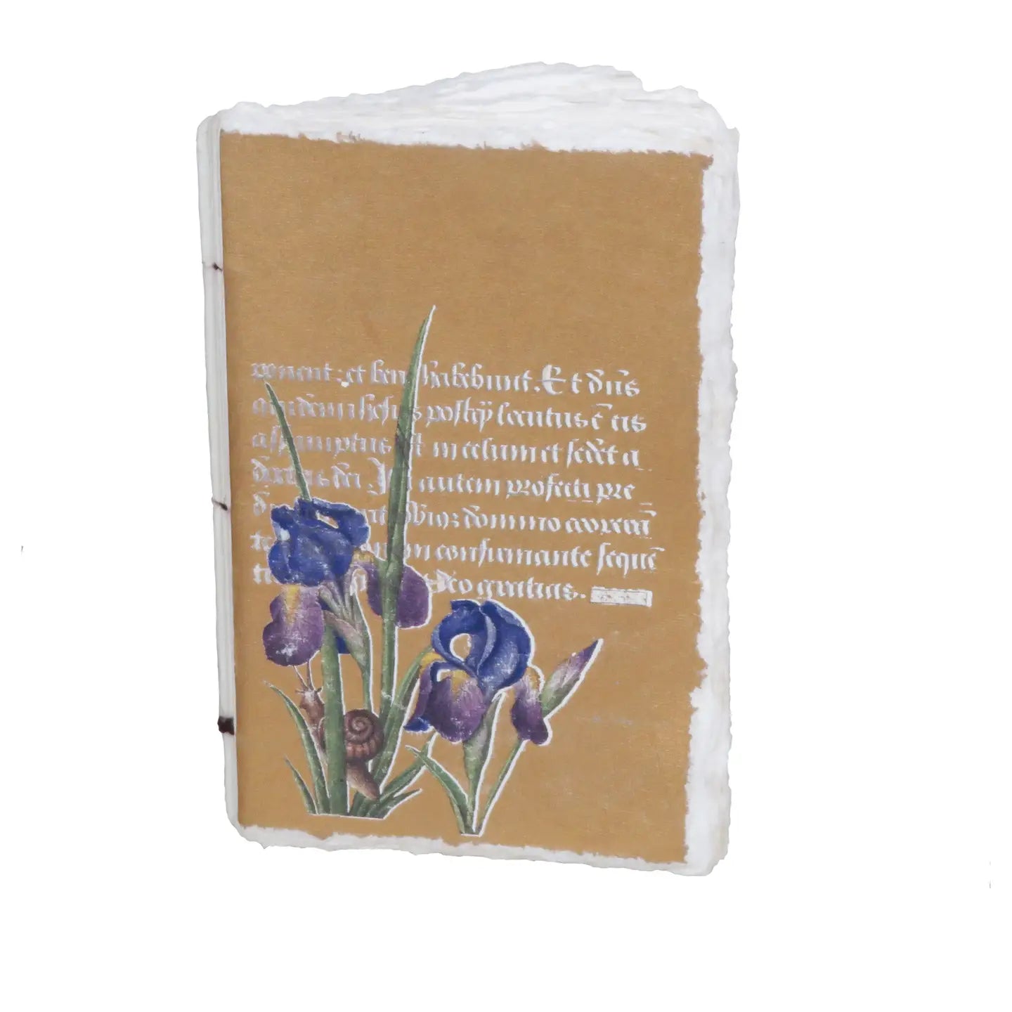Epigram A5 Parchment Paper Notebook with Irises Gold – The Pleasure of ...