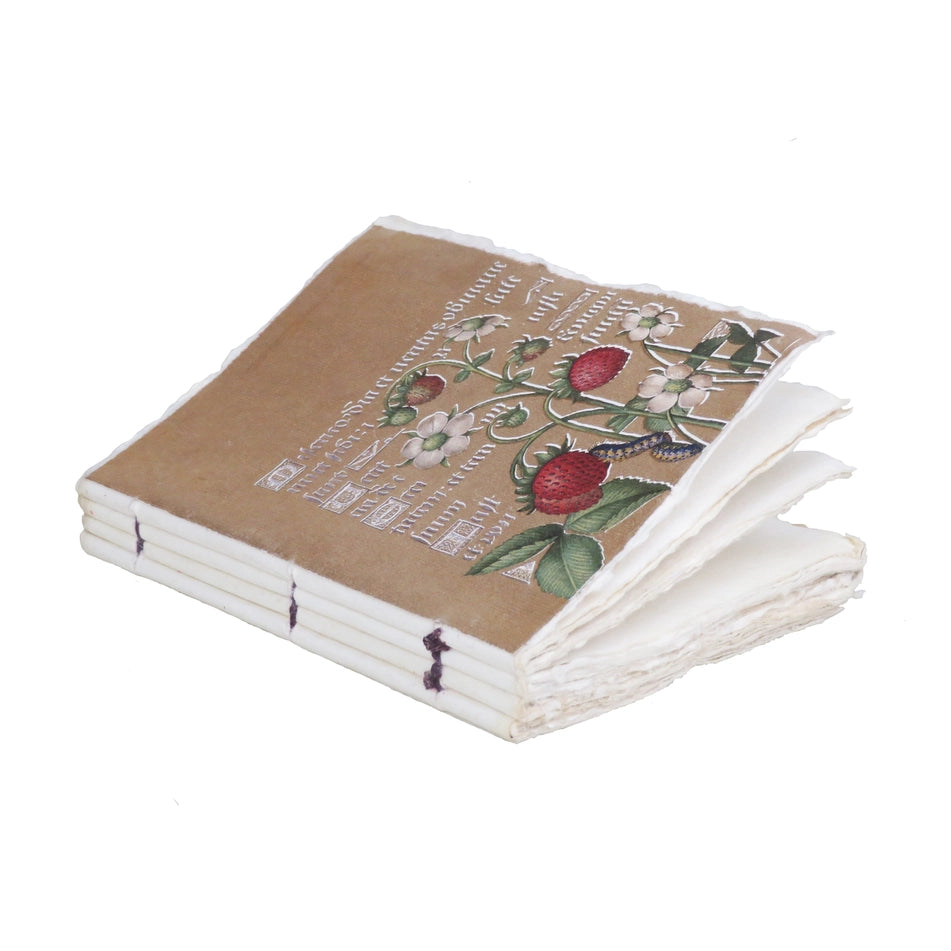 Epigram A5 Strawberries Gold Illumination - Notebook