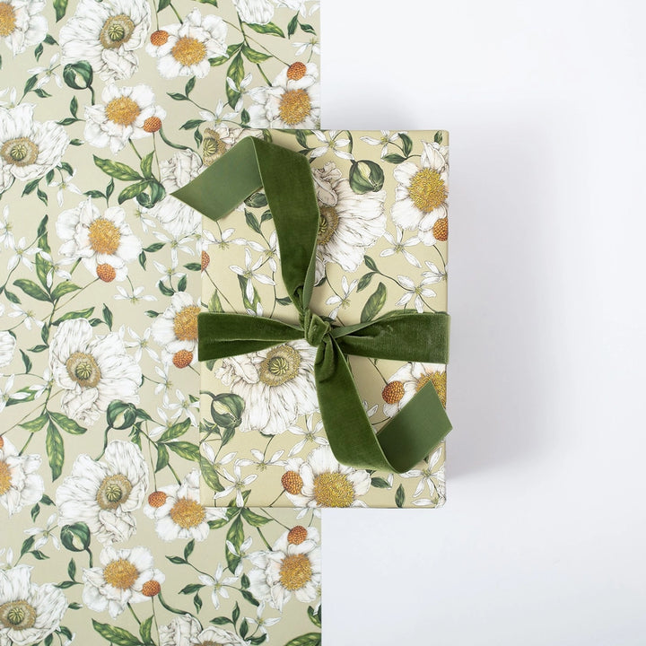 Catherine Lewis Spring Blossom - Green Gift Wrapping Paper (2 Sheets)